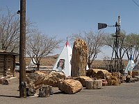 USA - Geronimo Trading Post AZ - Petrified Tree (25 Apr 2009)